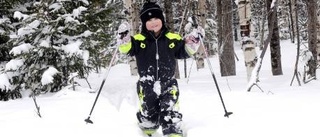 Skidlek i nysnön på Ormberget