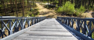 Jättebron i Pagla säljs för att sättas upp i Storklinten