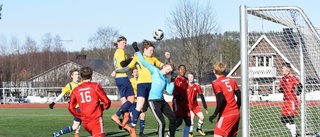 Vårcup gav fotbollsfest runt om i Luleå