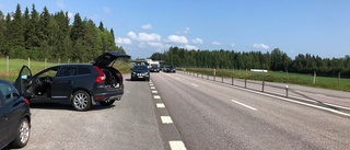 Lösa hästar stoppar trafiken på E4