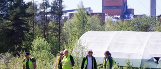 Just nu: Missing people söker efter Ludvig, 24