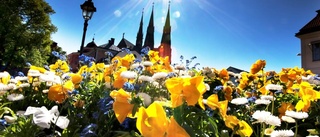 Sommarvärmen ska stanna kvar