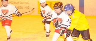 Hockeycup lockade många knattar