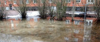 Stor risk för översvämningar i Uppsala