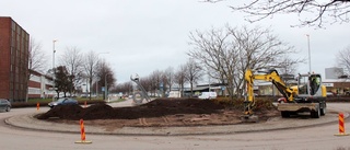 Nya buskar och perenner i rondellen