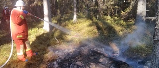 Mindre gräsbrand i Hållnäs