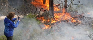 Skogsbrand som miljövård