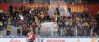 Historiskt högt publiksnitt för Luleå Hockey