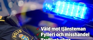 Polisens sammanfattning av natten