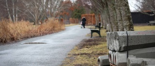 Mot ljusare tiden längs Åpromenaden