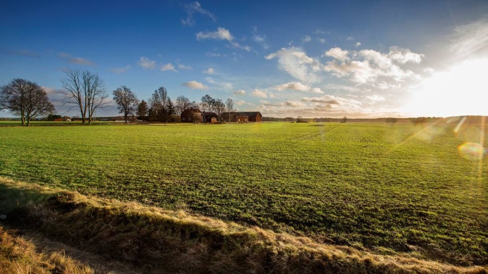 Uppsala är Sveriges största landsbygdskommun.
