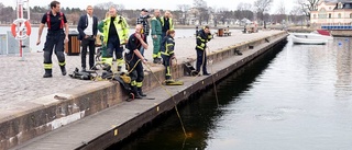 LISTA: Här är veckan som gick