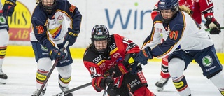 Luleå Hockey-trio uttagna till landslagsläger