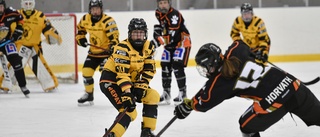 Trots förlusten – höga betyg på AIK-spelarna: ”Gör precis det en lagkapten ska göra – hade inte studsarna med sig”