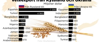 Så drabbar kriget världens livsmedelsförsörjning