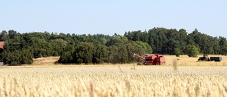 Åkermarken värd allt mer