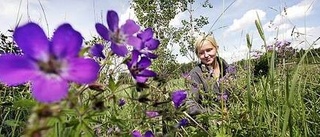 Här hittar du blommor till midsommarkransen