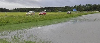 Potatisskörden riskerar regna bort