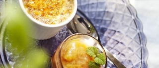 Créme brulée med rabarberkompott