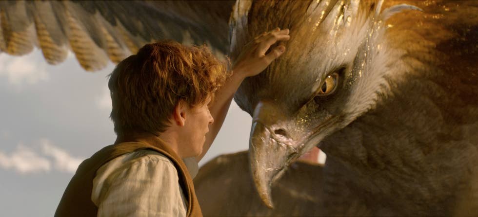 Magizoologen Newt Scamander (Eddie Redmayne) med Frank, en av de varelser som måste skyddas från både trollkarlar och människor.