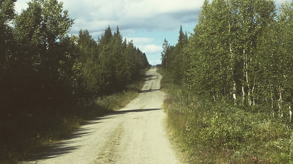 Man måste bära med sig varifrån man kommer när man funderar på vart man vill gå