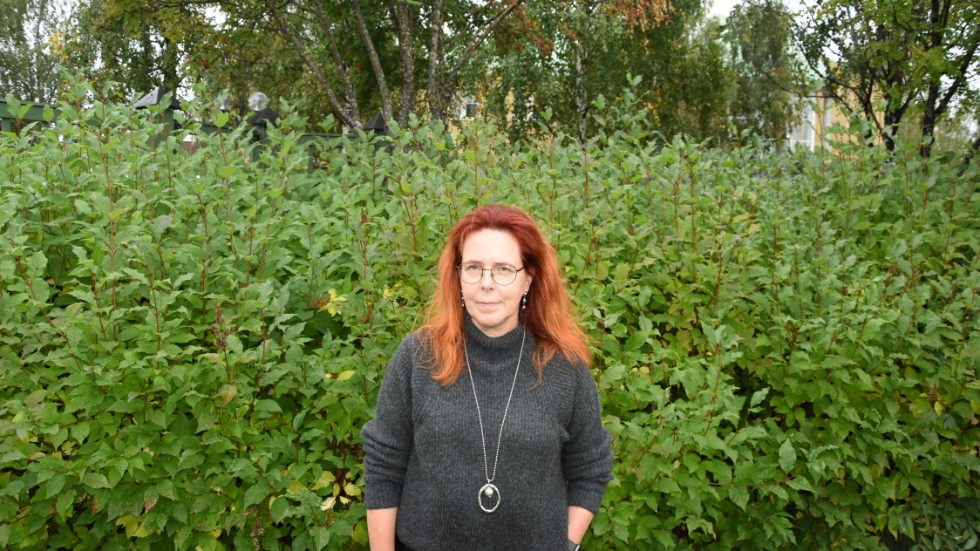 "Den kritik som har framkommit som jag har tagit del av i den presentationen som sändes digitalt är ju framförallt riktad mot kommunen, och inte mot vårat arbetssätt", säger skolkonsulten Susanne Norman. (Arkivbild).