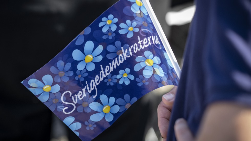 En SD-politiker har uteslutits ur partiet efter att ha misstänkts för våldtäkt. Misstankarna är numera avskrivna. Arkivbild.