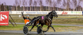 Olly Håleryd vann V75-lopp förkrossande överlägset