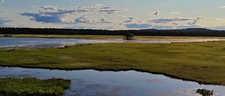 Dagens läsarbild: Fin kväll i Lamburträsket