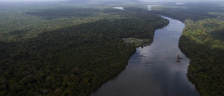 Fem döda i helikopterkrasch i Guyana