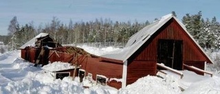 Ras kan ge ekonomisk smäll för bönderna