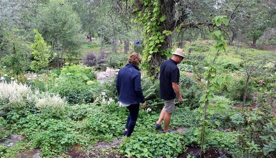 Kristina och Jan Alsér på väg ner genom sitt nyaste projekt: att anlägga en ny del där det tidigare var en stor damm med intilliggande rabatter.