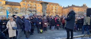 Manifestation för Ukrainas sak genomförs på Stora torget