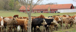 Rundvandring hos de gröna näringarna