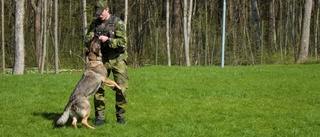 Det sker innanför grindarna på Malmen