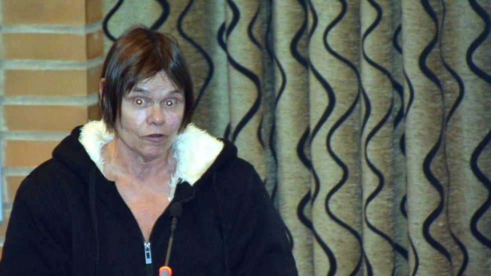 Anneli Jakobsson och hennes partivänner i SD vill ljusa upp fullmäktige med ett luciatåg.