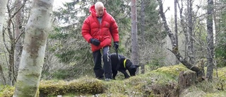 Tomas jagades av vildsvin i Tinnerö