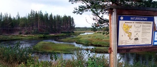 Lokala satsningar på natur och friluftsliv