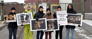 Manifestation utanför Scan - står upp för djurens rättigheter