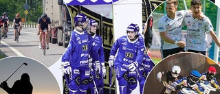 IFK har imponerat stort på mig