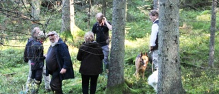 Skogsvandring med fokus på gammelskogen