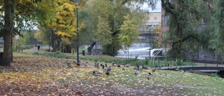 Därför stängs delar av Strömparken av