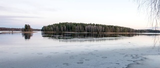 Regnadel i Närke okänd för många