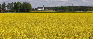 Här är vinnarbilden för juni