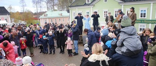 ALV satsar stort på höstmarknaden