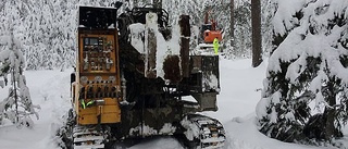 Kommunala bolaget anklagas för prisdumpning