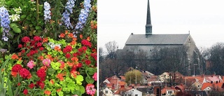 Förening vill ha botanisk trädgård