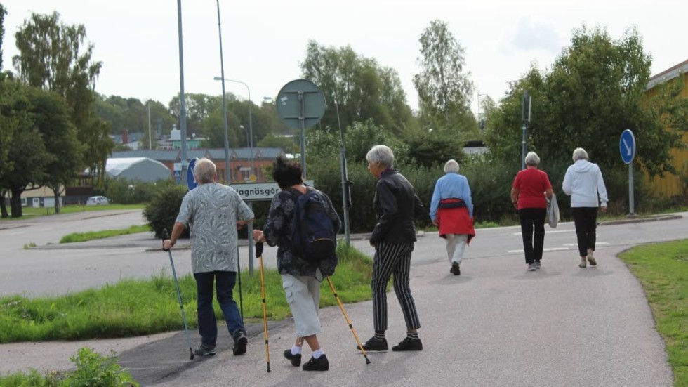 Ibland delar gruppen upp sig i flera mindre, eftersom alla inte vill gå lika långt.