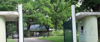 Då blir det folkfest i Folkets park