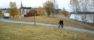 Två tiovåningshus i Södra hamn